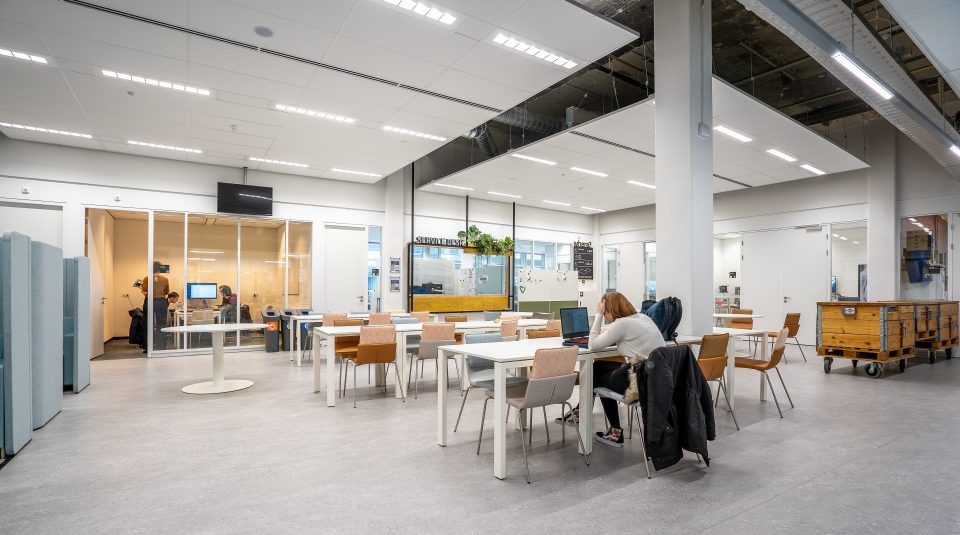 Espace de coworking moderne avec éclairage naturel, tables ergonomiques et design contemporain