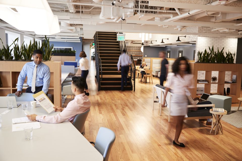 Espace de travail ouvert avec collaborateurs en action, design contemporain et plantes vertes